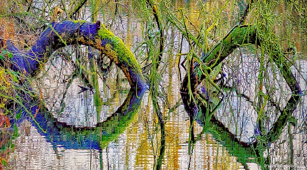 looking through the glasses of nature - mbv-LookingThroughTheGlassesOfNature-90x50